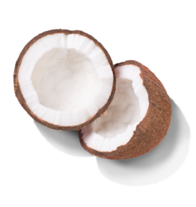 _ng-maroc-coconut